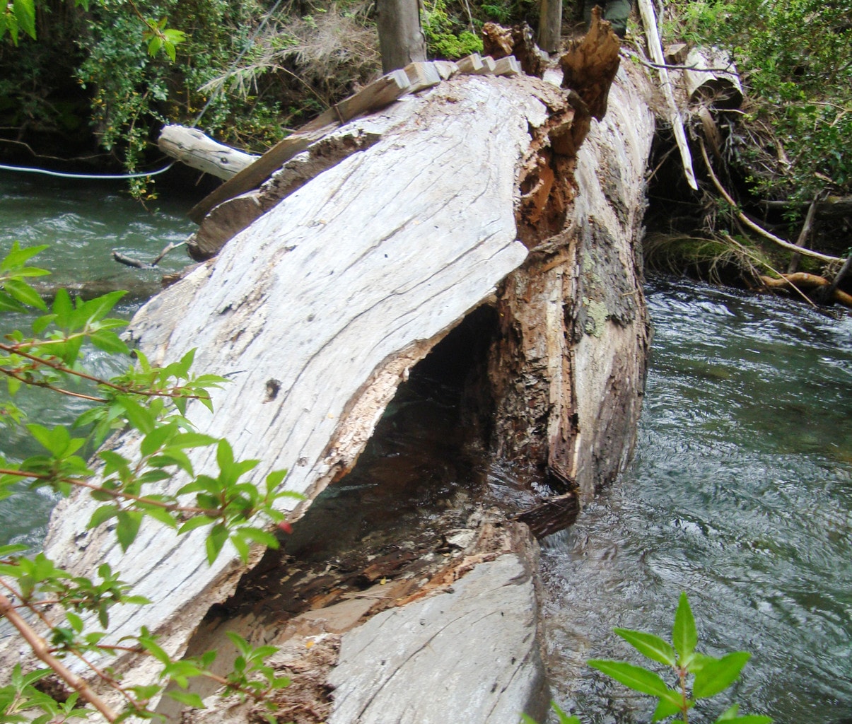 A SENDA PUENTE