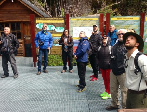 Se normaliza el servicio al Bosque de Alerces Milenarios