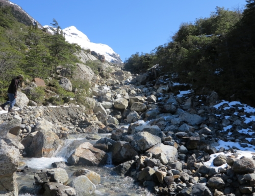 Se suspenden nuestros servicios por causas Naturales